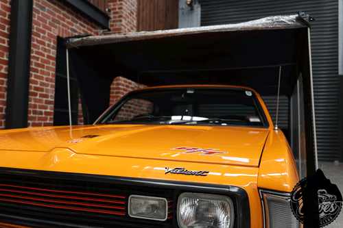 Hard Pole Car Cave
